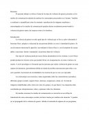 Tipos de violencia de género y estereotipos presentes en los medios de comunicación