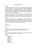 Seguros G&T región oriente