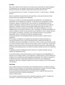 Marx, Durkheim, Weber. La base de la sociología