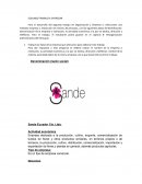 Actividad económica EMPRESA SANDE