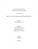 MARCHA CATIÓNICA, SEPARACIÓN E IDENTIFICACIÓN DEL GRUPO