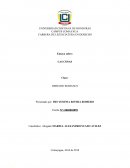 ENSAYO SOBRE LAS COSAS