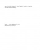 PROPUESTAS DE EXHIBICIÓN Y RESURTIDO EN EL FORMATO COMERCIAL SURTIFRUVER DE LA SABANA