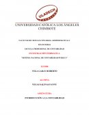 INVESTIGACIÓN FORMATIVA "SISTEMA NACIONAL DE CONTABILIDAD PUBLICA"