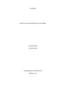 El presente informe da a conocer la elaboración de la gelatina