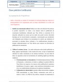 Caso Practico Trip Advisor