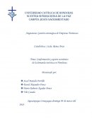 Conformación y aporte económico de la demanda turística en Honduras