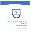 ENSAYO DE CARTAS A UN ESTUDIANTE DE DERECHO