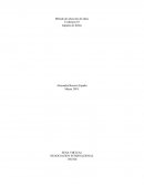 Método de selección de ideas Evidencia 10