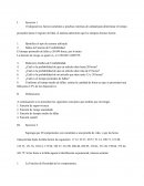 Actividad 1 planeación de plantas industriales