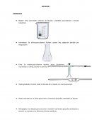 Materiales de laboratorio INFORME 1