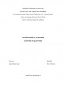 Lucha armada y no armada Guerrilla de guerrillas