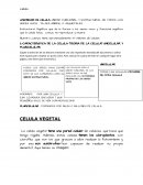 DEFINICION DE CELULA; UNIDAD FUNCIONAL Y ESTRUCTURAL DE TODOS LOS SERES VIVOS , YA SEA ANIMAL O VEGUETALES
