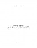 Video Electronics Company Caso Práctico