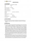 Caso clinico: Siento que mis padres no comprenden mi forma de comportarme