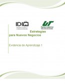 Estrategias para Nuevos Negocios Evidencia de Aprendizaje