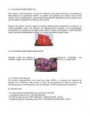 Alcance del público local es capaz de localizar determinados prospectos