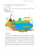 Act-int-u2_ ecologia & salud