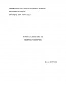 Reporte de laboratorio "hemíptero y Homptero"