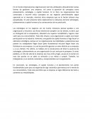 Capital Humano Descripcion de puesto