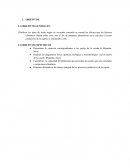 Suelo. Clasificación de los suelos, propiedades y génesi