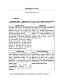 Caso Bodegas Torres DAFO