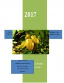 Estudio de pre-factibilidad para la instalación de una planta, procesadora y comercializadora de néctar de Carambola