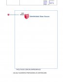 ANTECEDENTES HISTORICOS DE LA PRACTICA CONTABLE