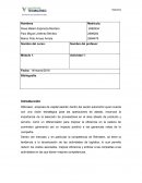 Actividad Analisis del caso Röhrseen