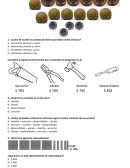Guia de matematicas 3° basico