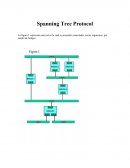 Spanning Tree Protocolo