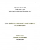 IMPORTANCIA DE LA INVESTIGACIÓN A NIVEL DE MAESTRÍA Y LAS LÍNEAS DE INVESTIGACIÓN