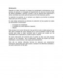 Estrategia de selección de personal