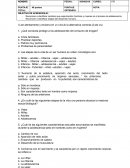 Prueba naturaleza sexto basico