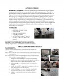 Antigenos febriles inmunologia