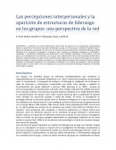 Las percepciones interpersonales y la aparición de estructuras de liderazgo en los grupos: una perspectiva de la red