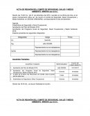 Modelo de acta de conformación de comité