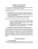 Capítulo 1: Economía Informal ¿Qué es la economía informal?
