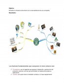 Entender la influencia del entorno en la mercadotecnia de una compañía