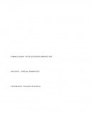 FORMULACION Y EVALUACION DE PROYECTOS la futura fábrica de Baldosas “ Baldosines Cerámicos Ltda”