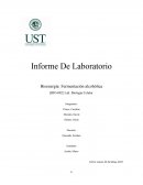 Bioenergía: Fermentación alcohólica