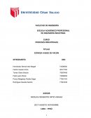 Cerveza a base de yacon