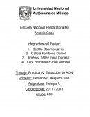 Practica de Biologia Extracción de ADN