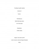 Tecnólogo en gestión logística Evidencia 4