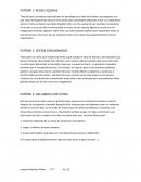 COMPUTADORAS PATRON 1: REDES LIQUIDAS