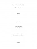 Resumen Auditoria Auditoria II