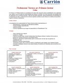 Profesional Técnico en Prótesis Dental