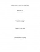 LABORATORIO FUNDAMENTOS DE QUÍMICA PRÁCTICA VI: TITULACIONES