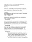 Reporte Bimestral de laboratorio