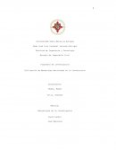 Utilización de Materiales Reciclados en la Construcción